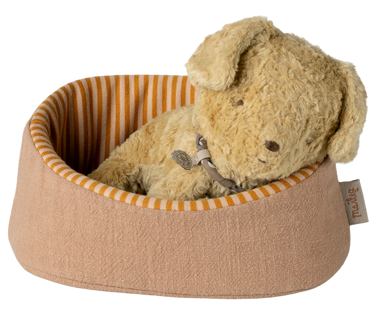 Pet Basket: Powder