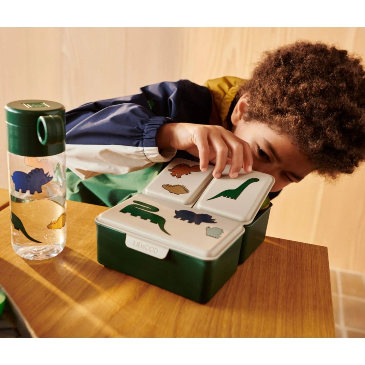 Driss Lunchbox - Dinosaurs