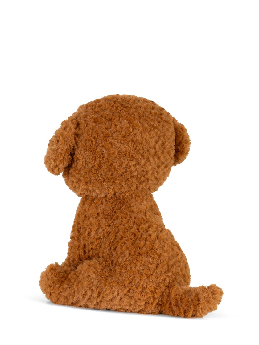 Stacy The Labradoodle