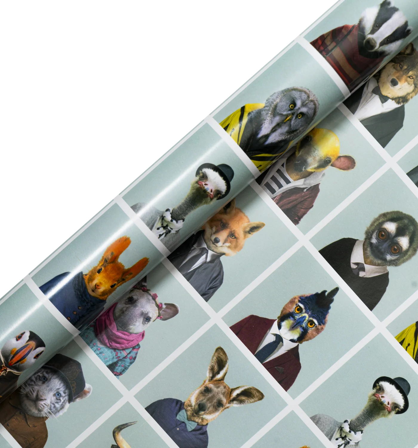 Zoo Portraits Polaroid Roll Wrap, 3 Metres