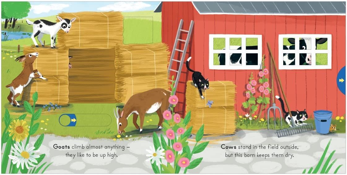 Big Outdoors For Little Explorers:Farm