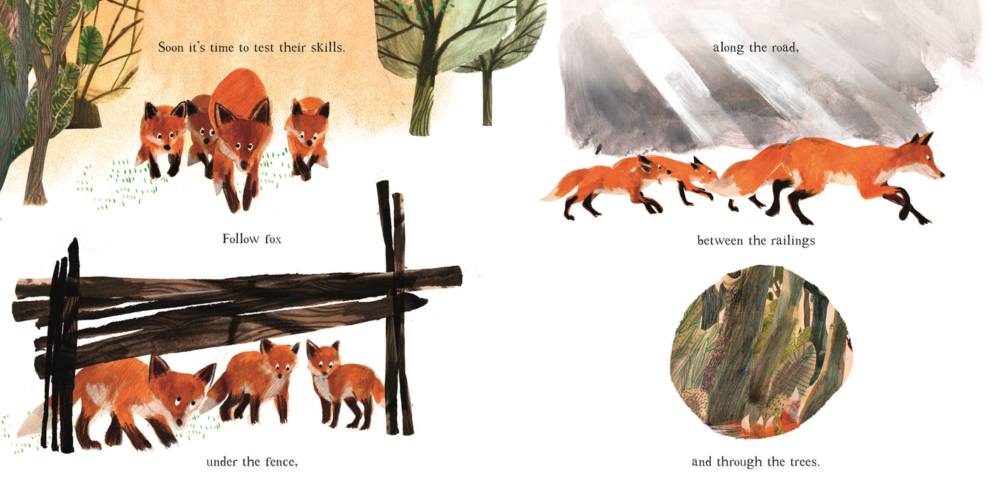 Fox - A Circle of Life Story