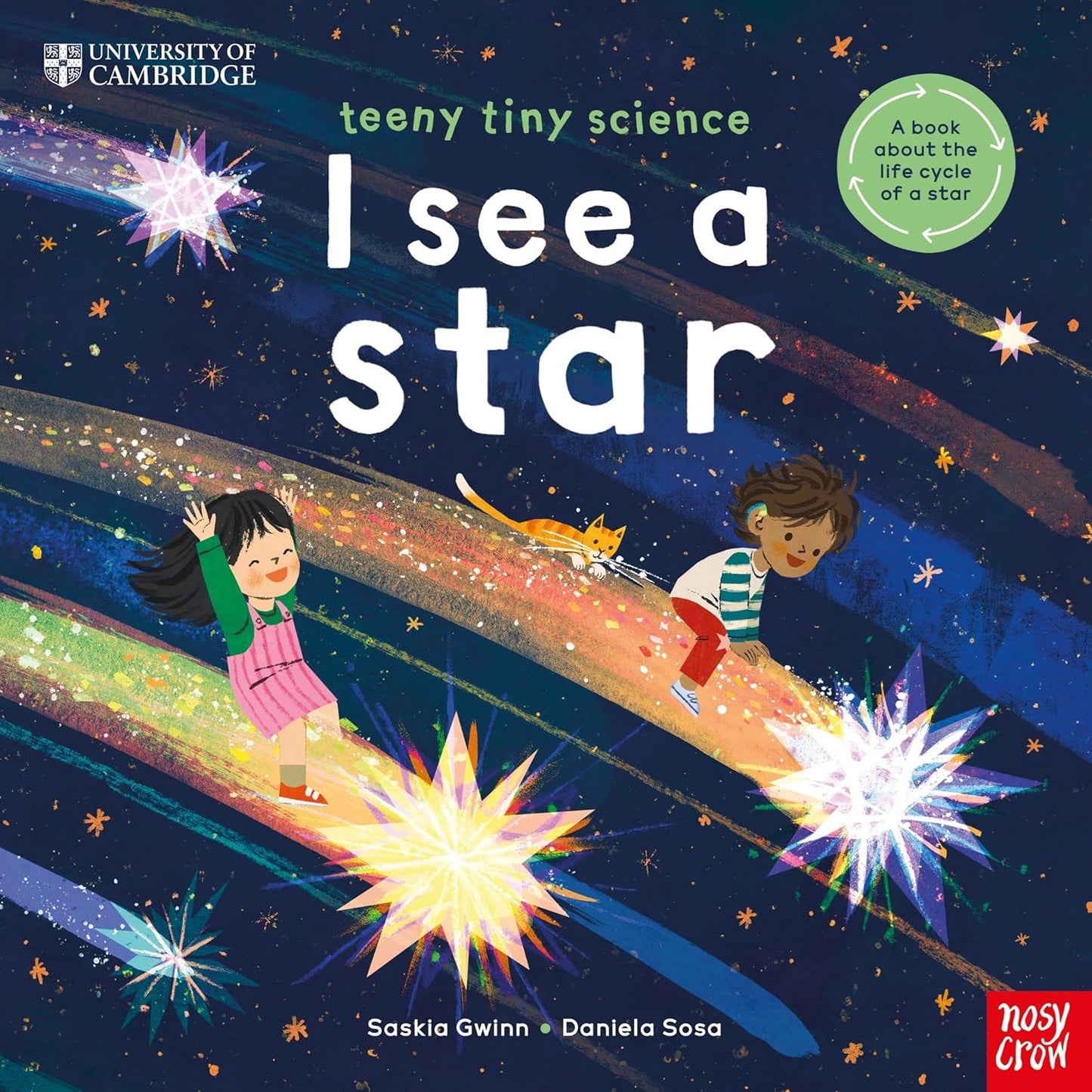 I SEE A STAR (TEENY TINY SCIENCE)