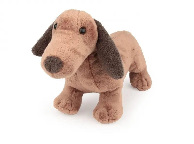 Edward Dog