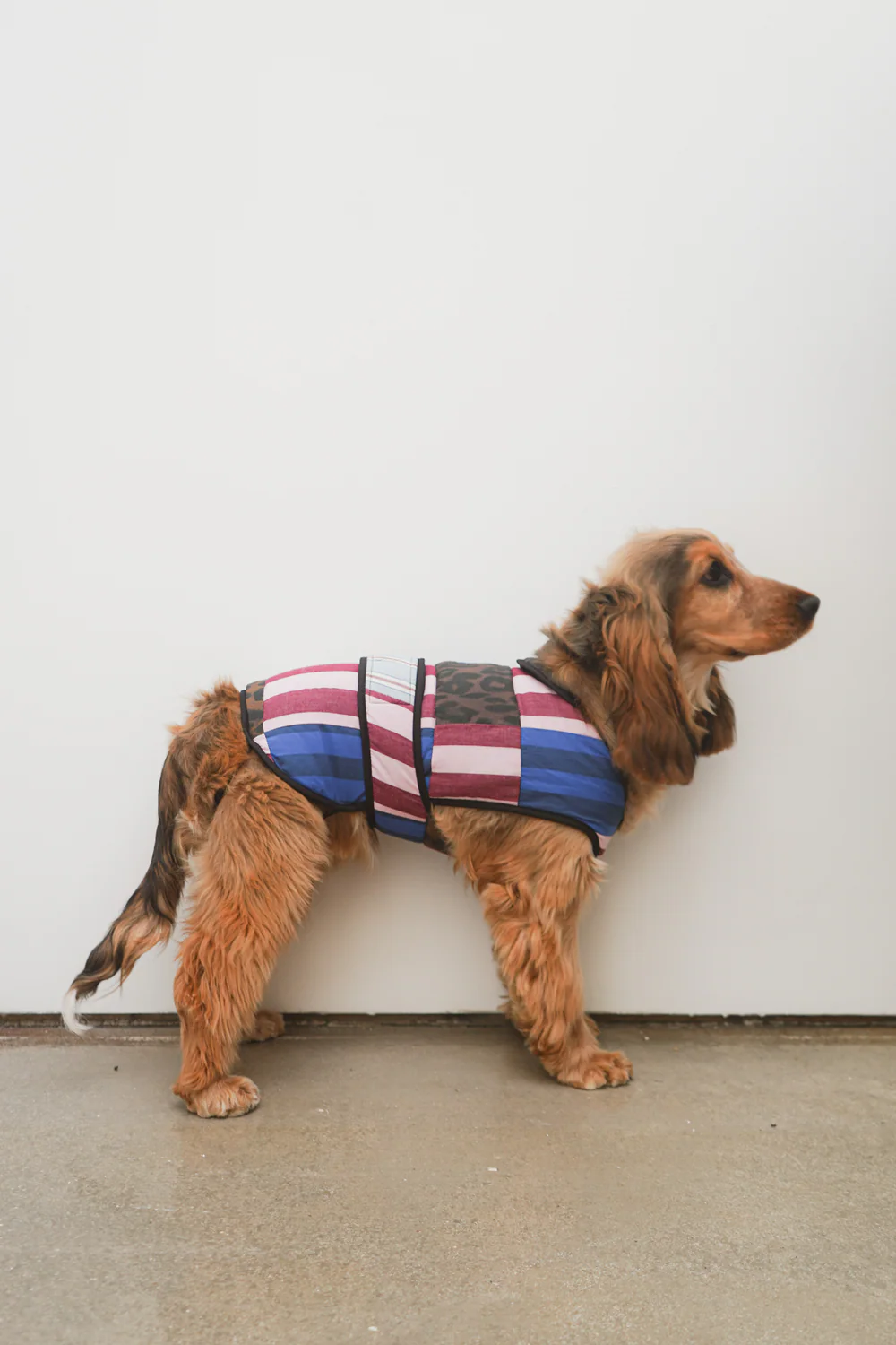 Patchwork Dog Coat - Small