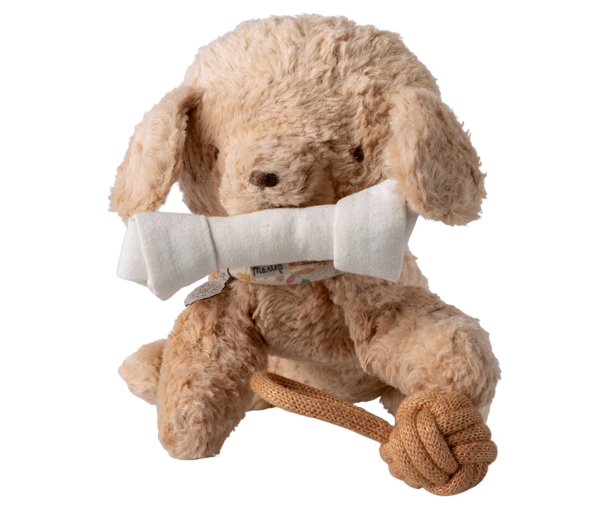 Pet Supplies Dog Treats