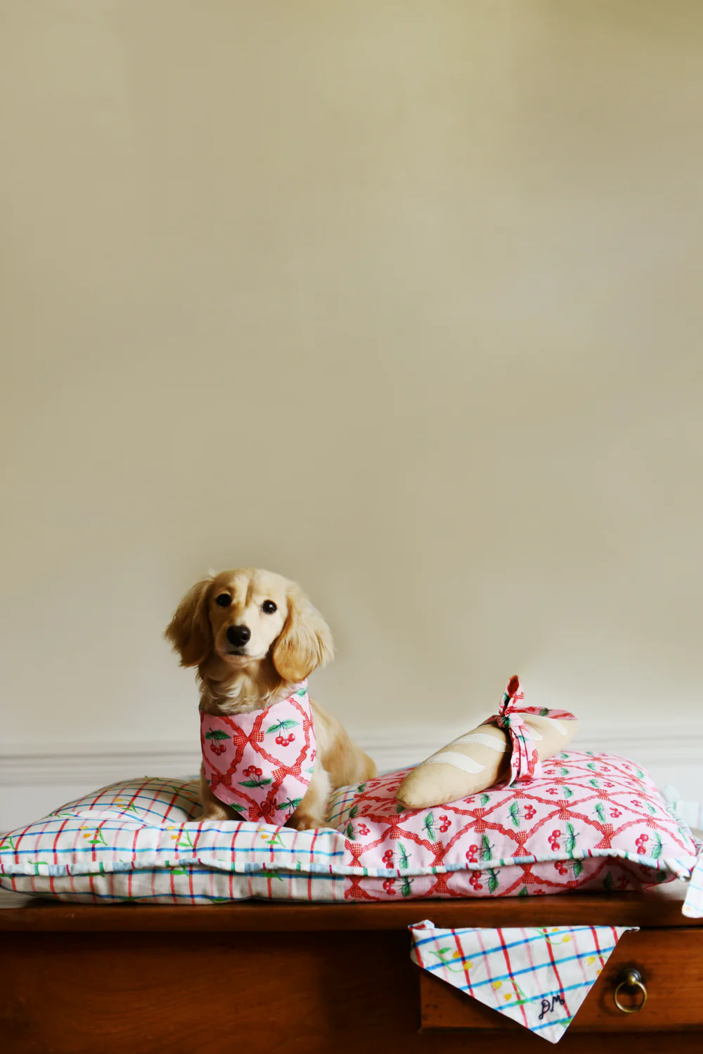Pet Neckerchief - Cherry