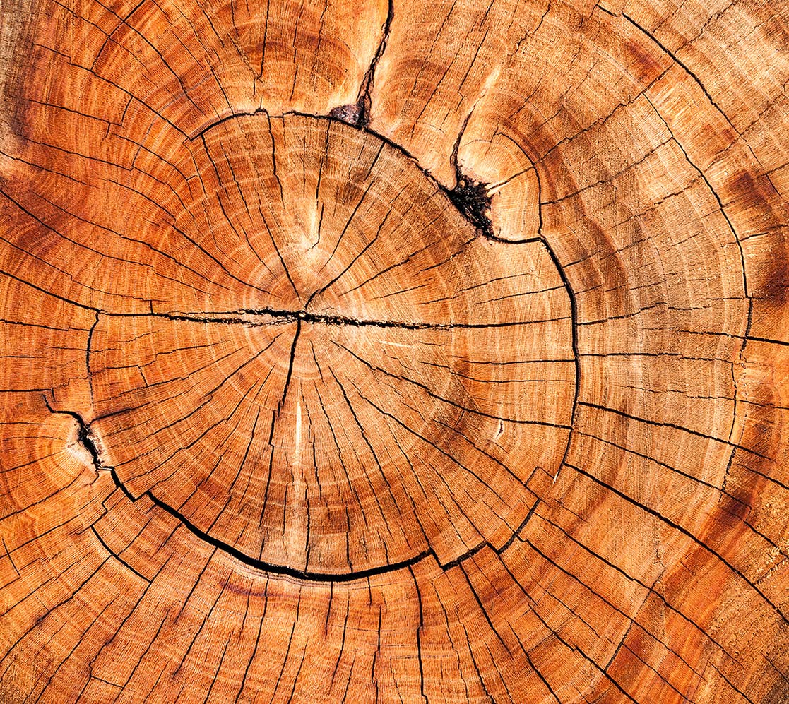 COPAL GREEN Deodorant Spray