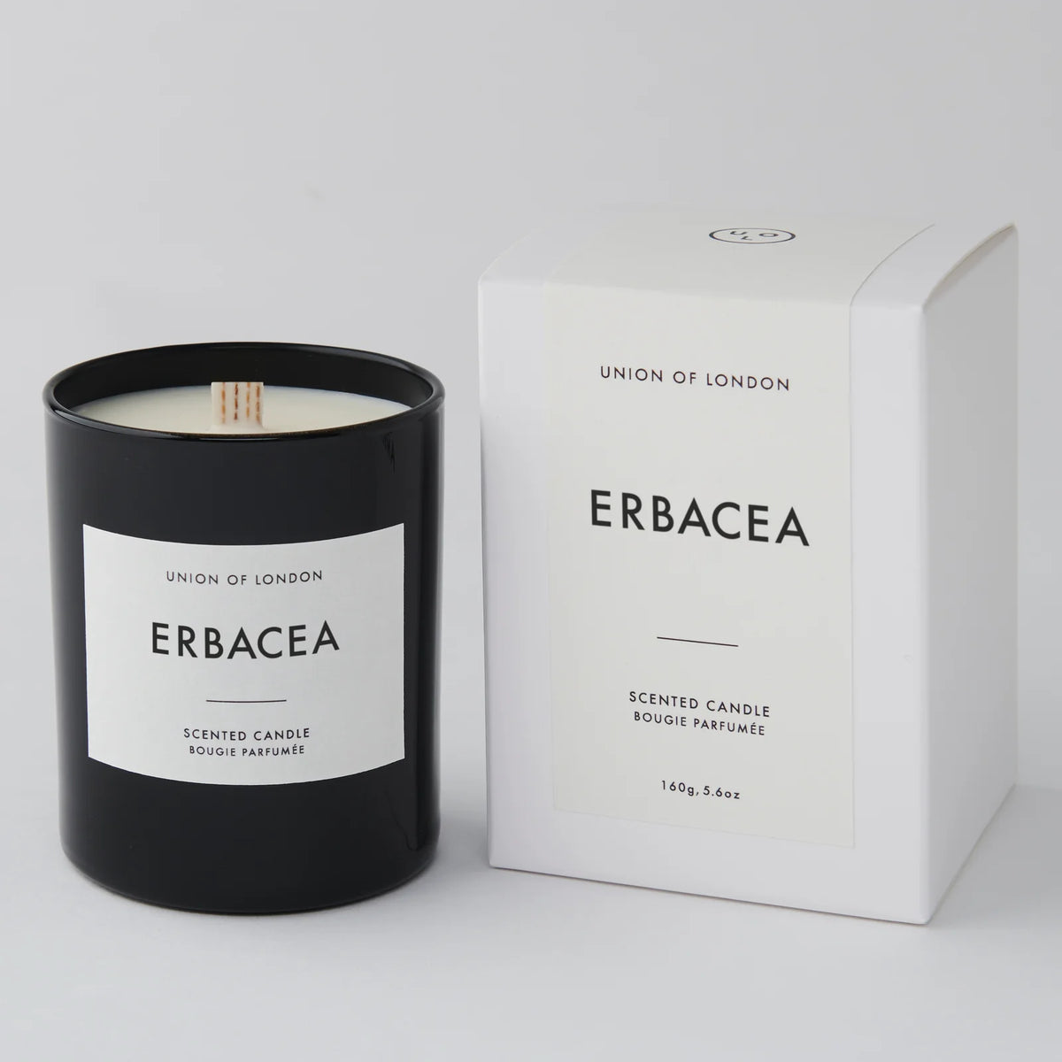Erbacea