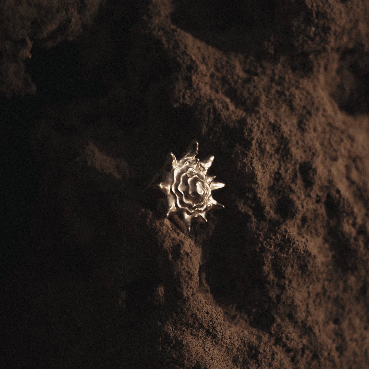 Queen Conch Ring - Silver