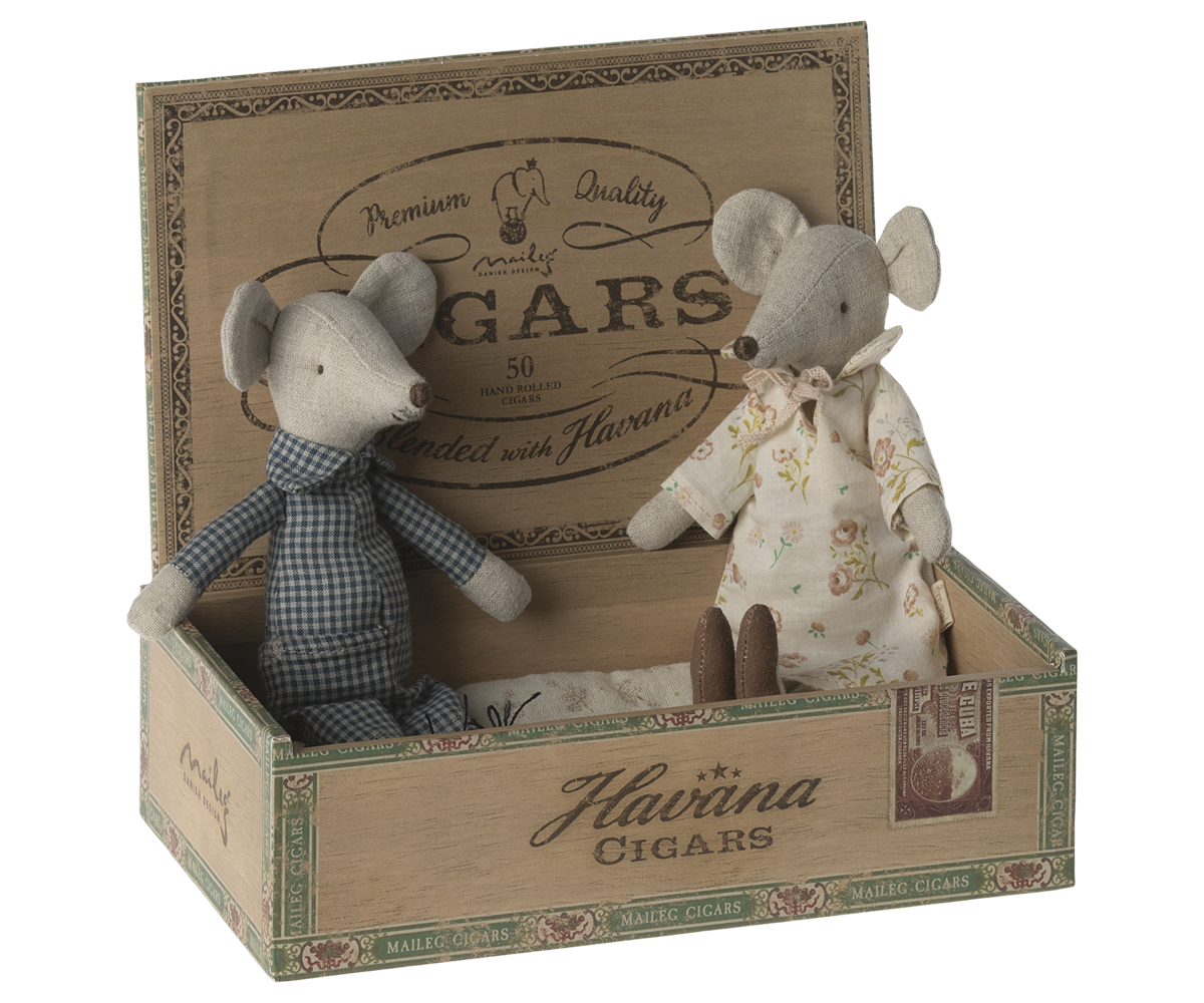 Grandma And Grandpa Mice in A Cigar Box