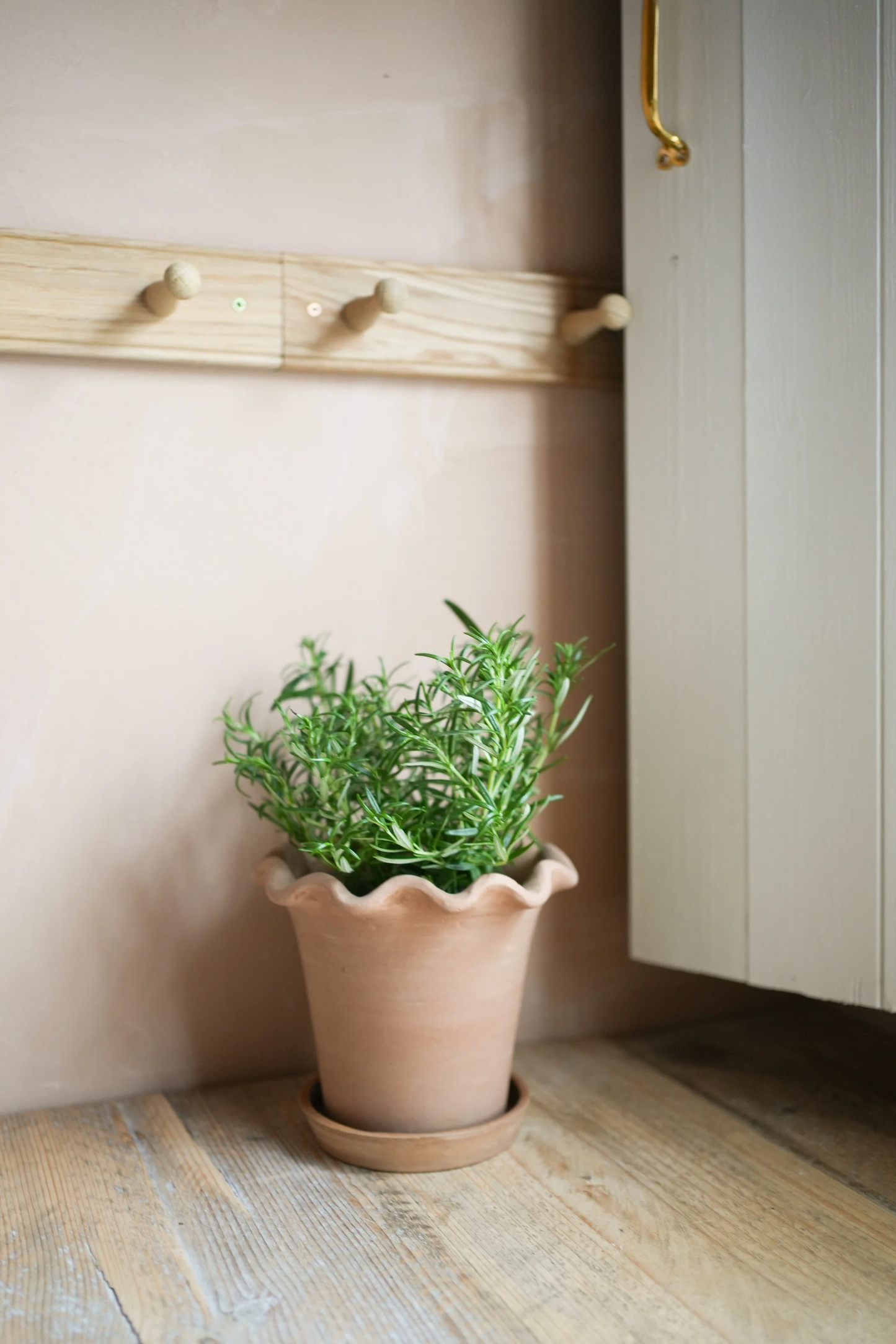 Frilly Plant Pot