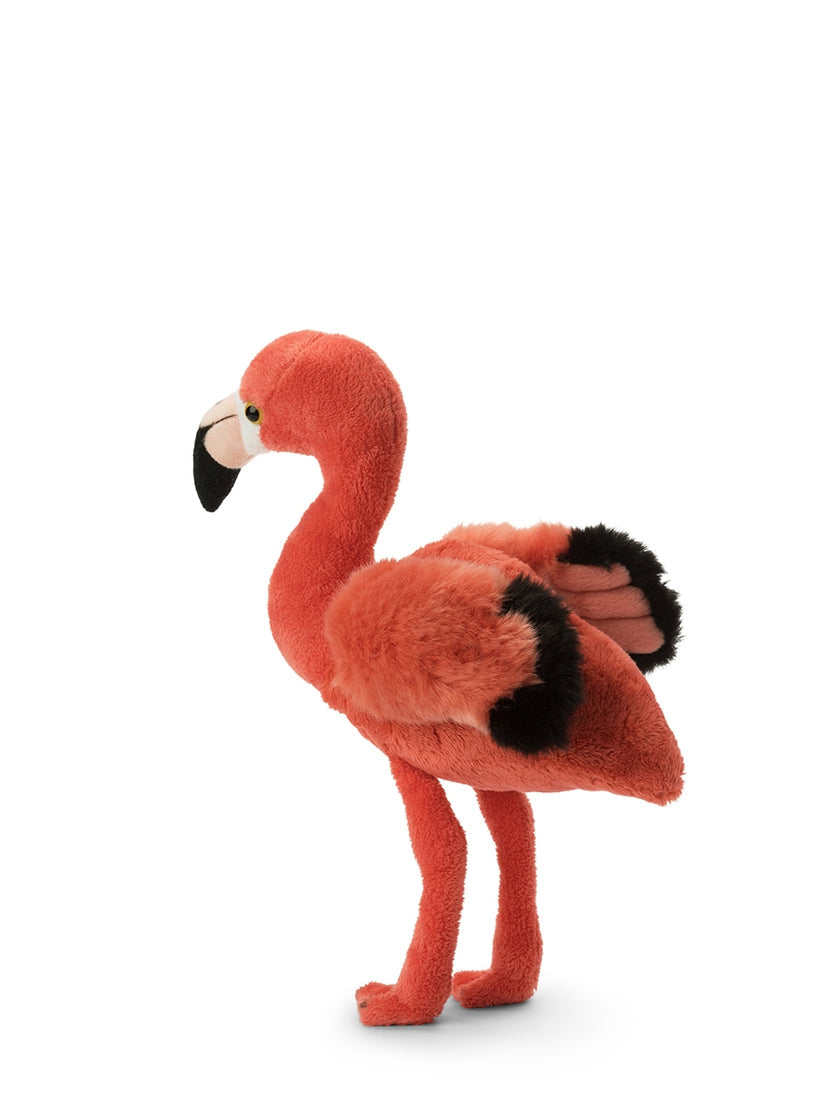 WWF Flamingo