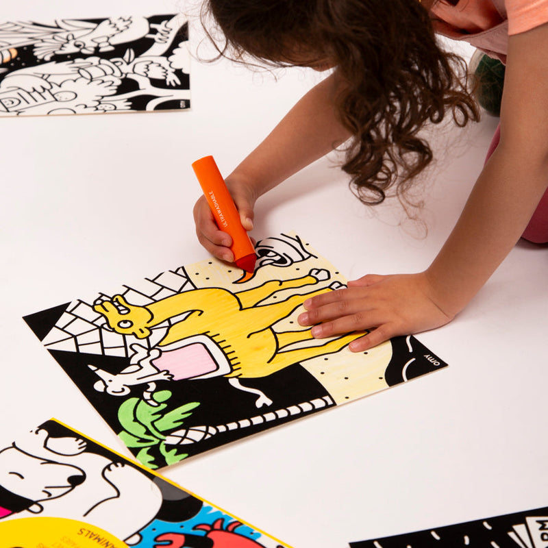 Velvet Colouring - Animals