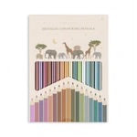 Metallic Colouring Pencils