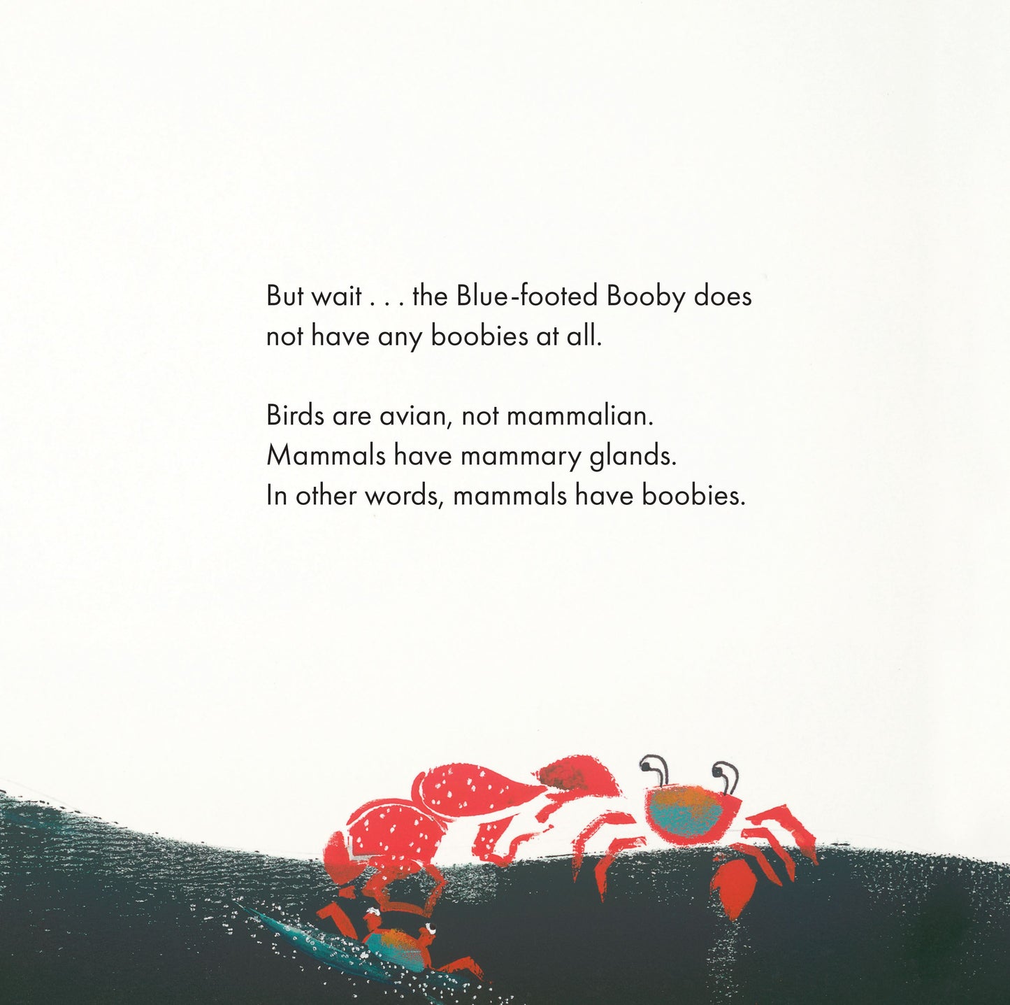 Boobies
