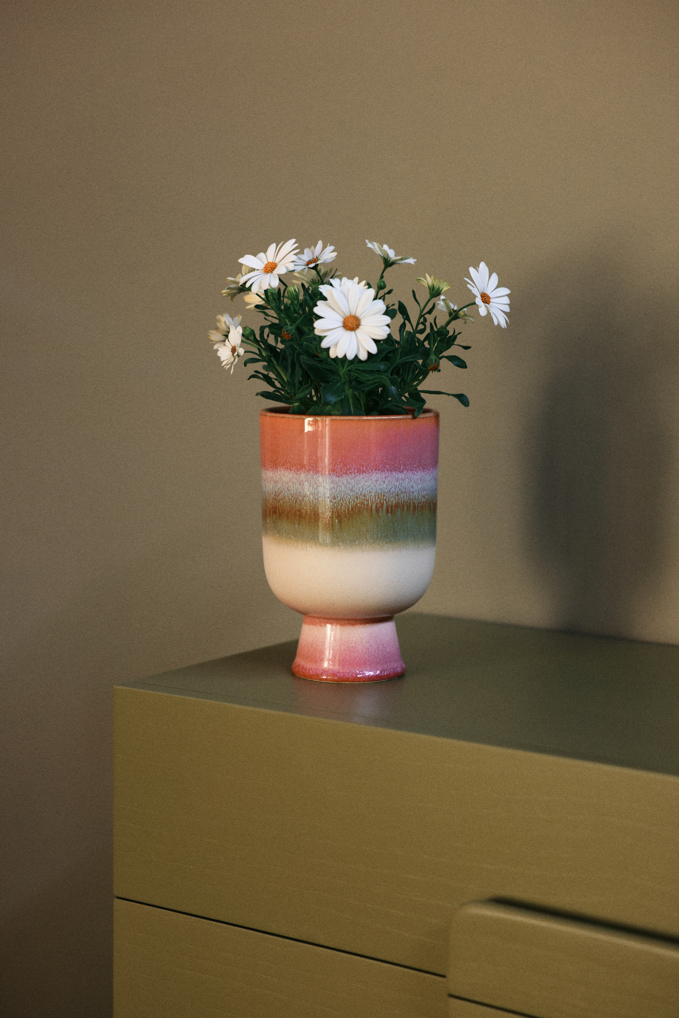 Retro Flower Pot Rosefield