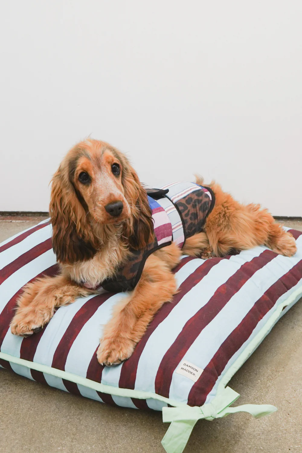 Patchwork Dog Coat - Small