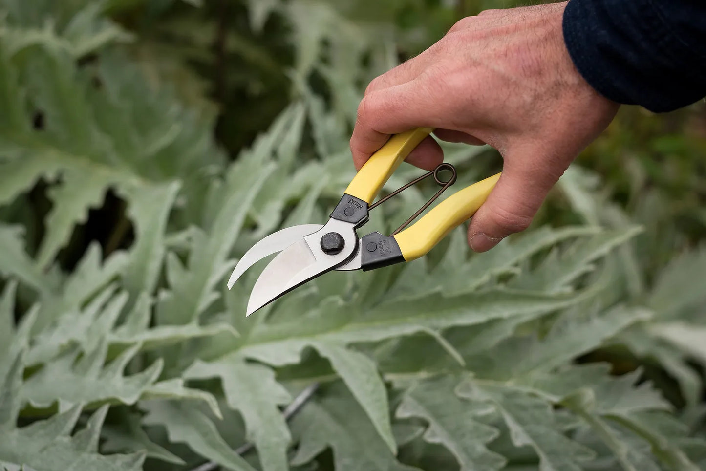 Mainichi Secateurs - Left Handed