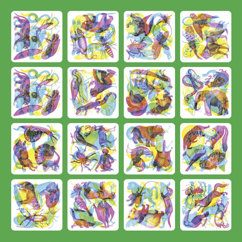 Illuminature: A Spotting Game