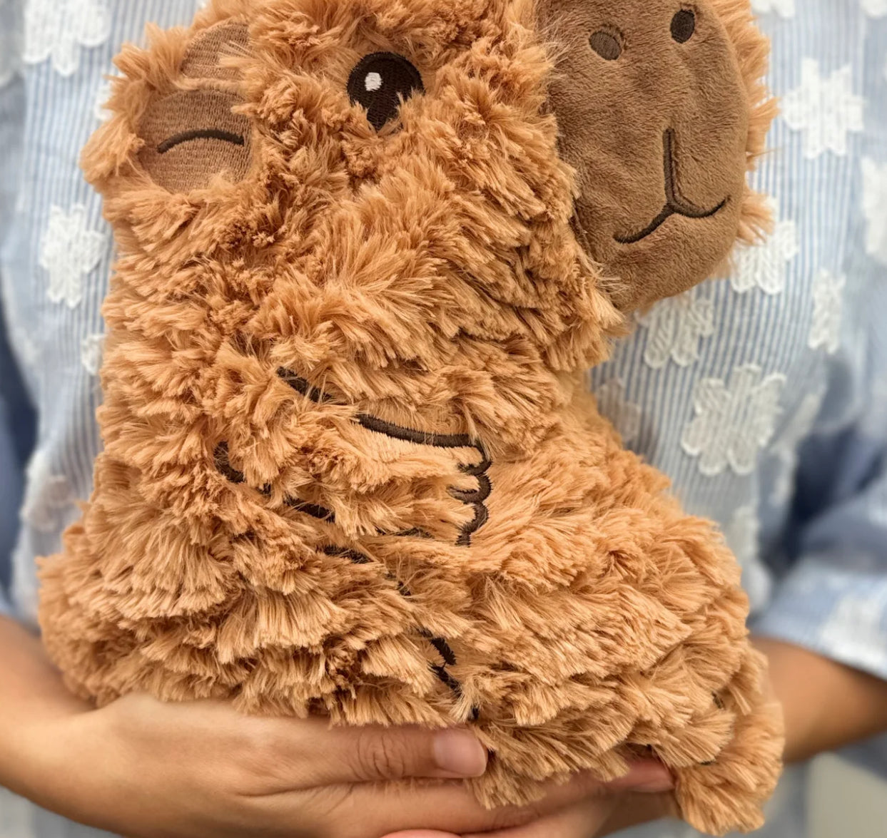 Huggable Shaggy Capybara
