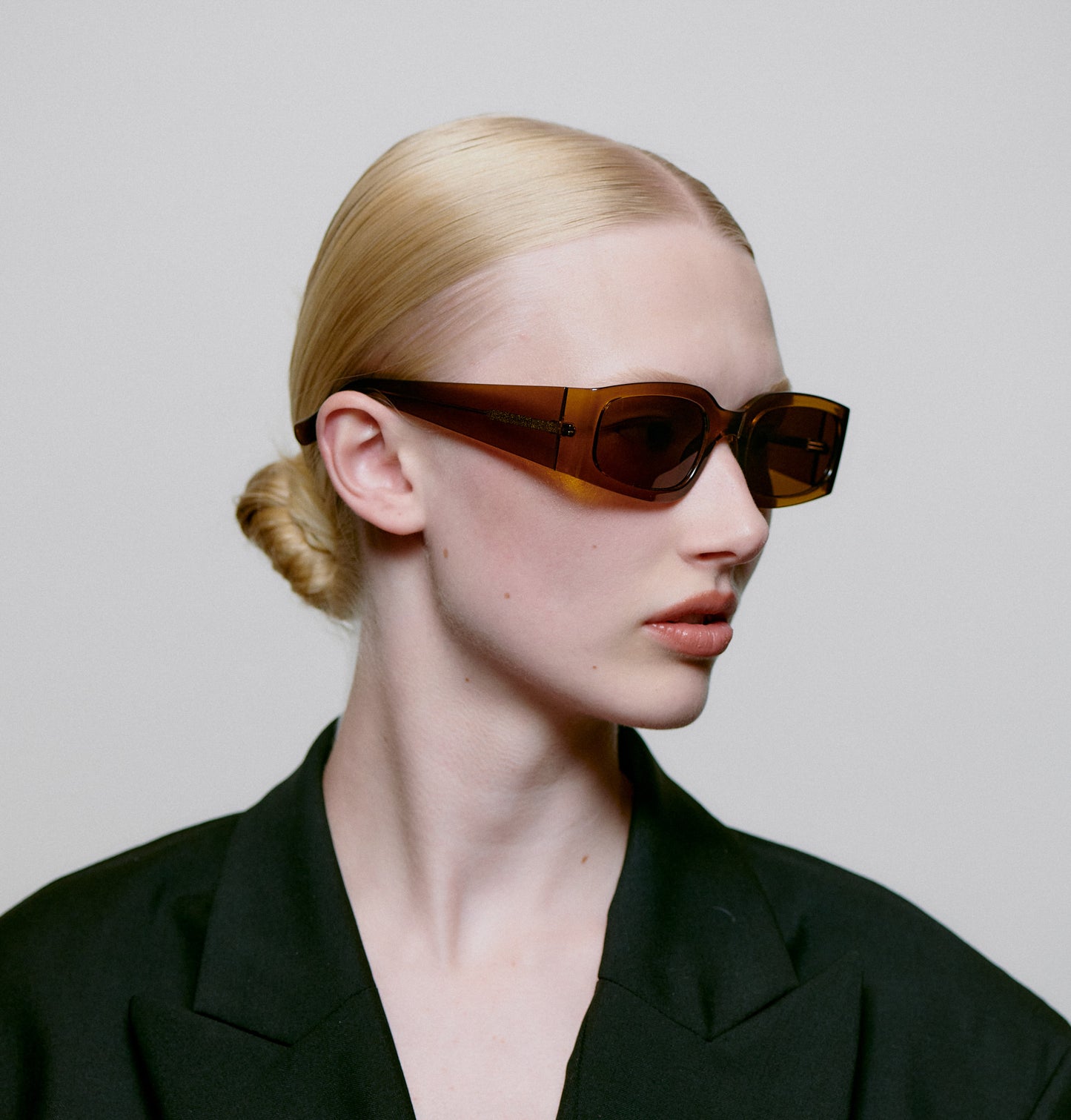Alex Sunglasses - Smoke Transparent