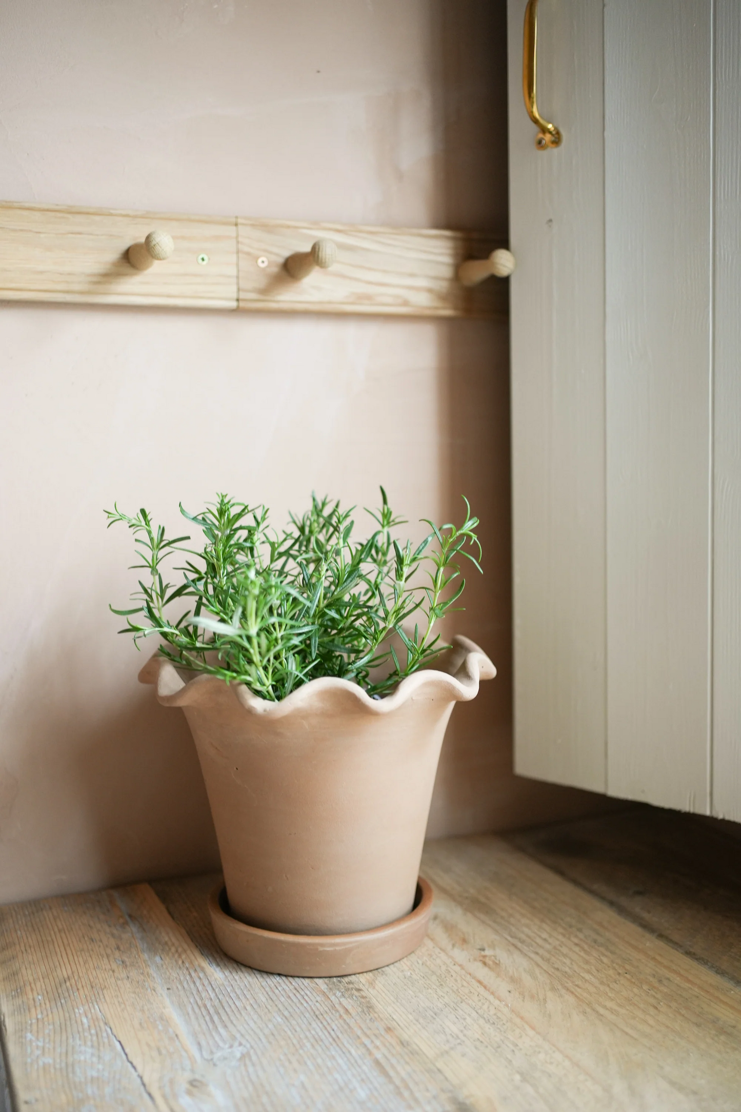 Frilly Plant Pot
