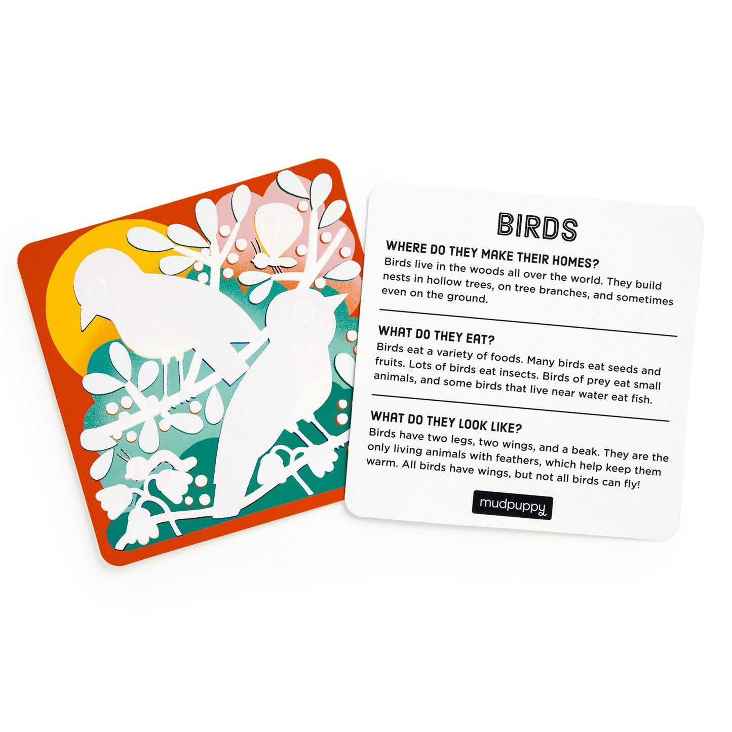Colour Magic Water Reveal Kit: Woodland Friends