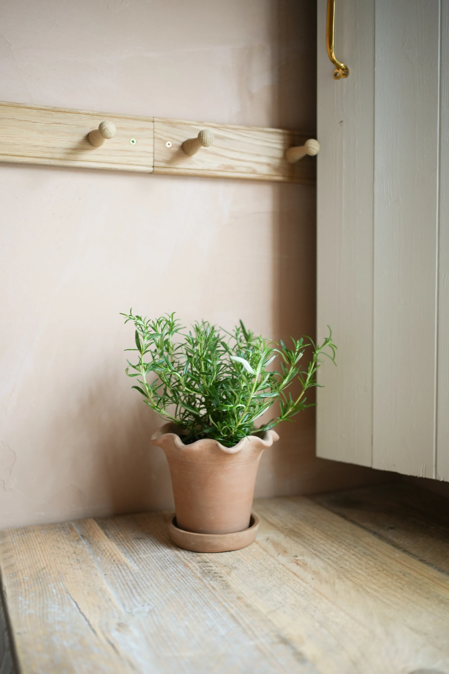 Frilly Plant Pot