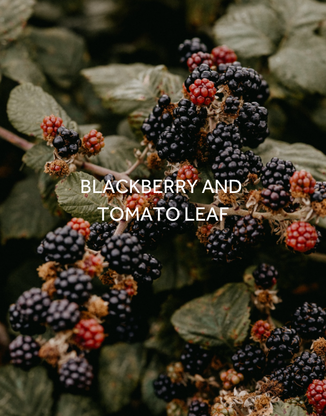 Folk Tin Wander Candle