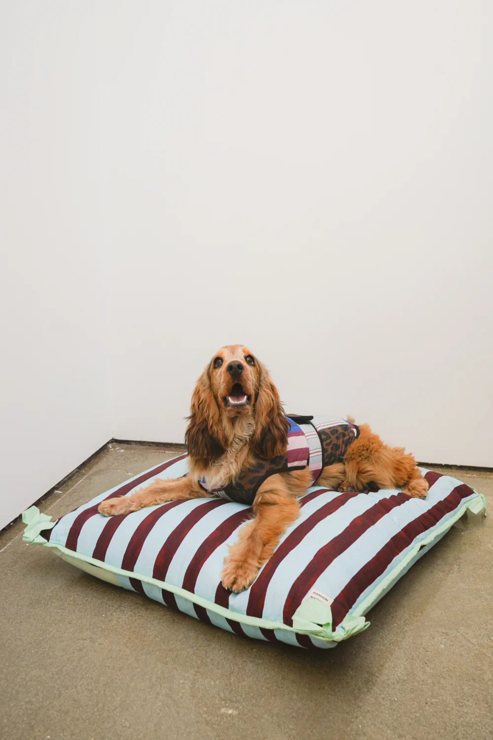 Patchwork Dog Coat - Small