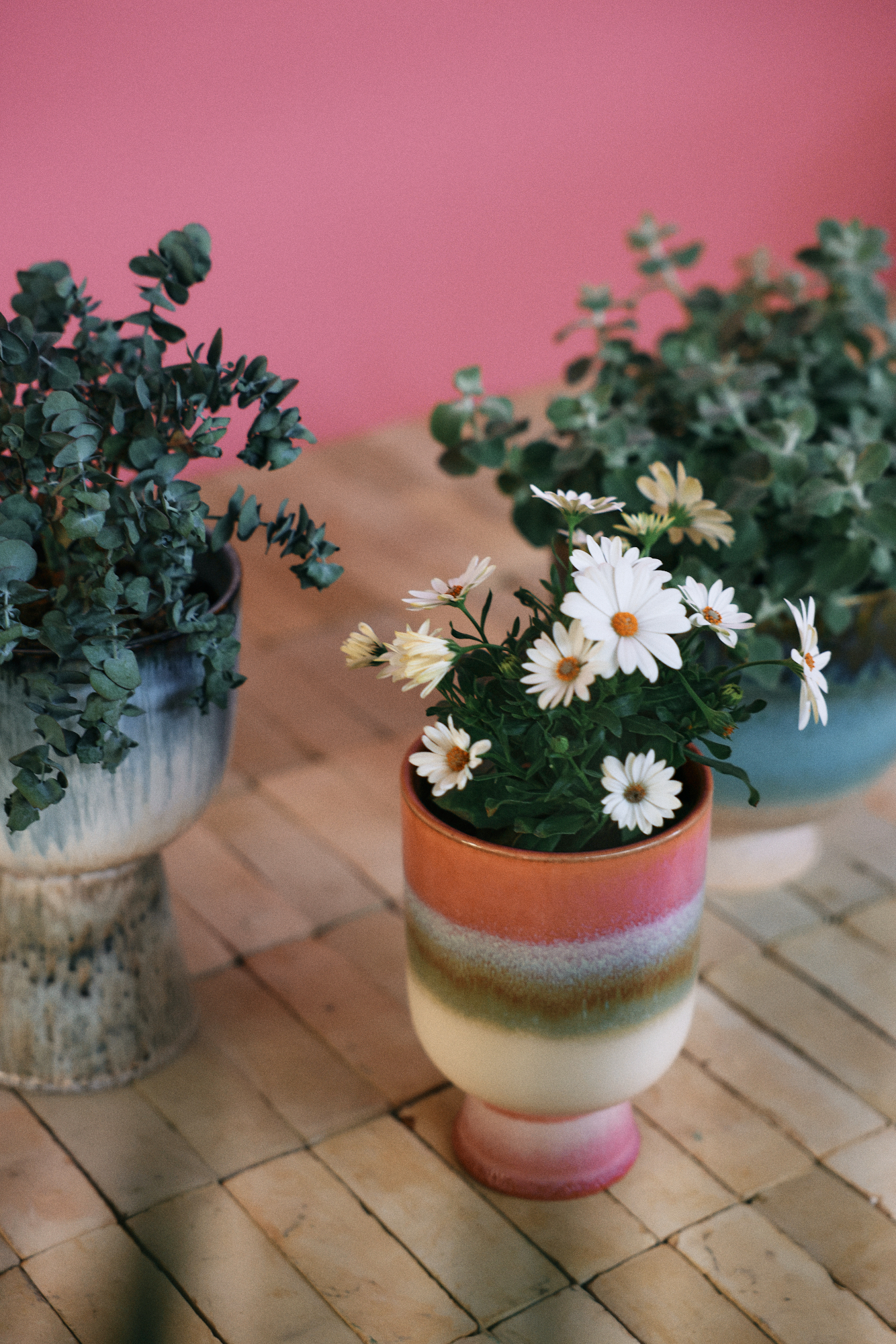 Retro Flower Pot Rosefield
