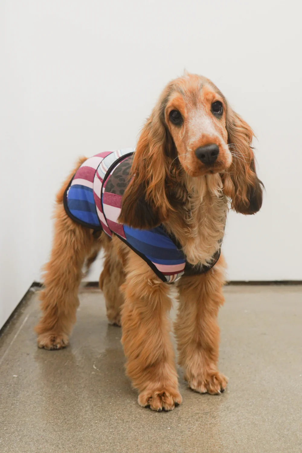 Patchwork Dog Coat - Small