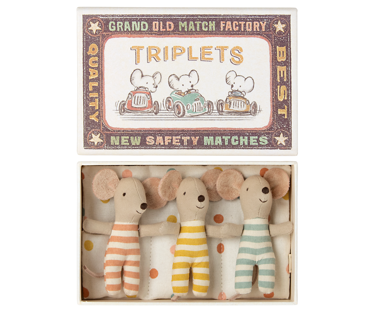 Triplet Baby Mice In Matchbox