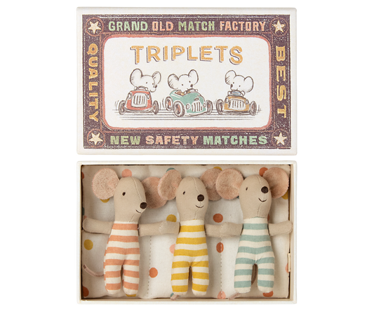Triplet Baby Mice In Matchbox