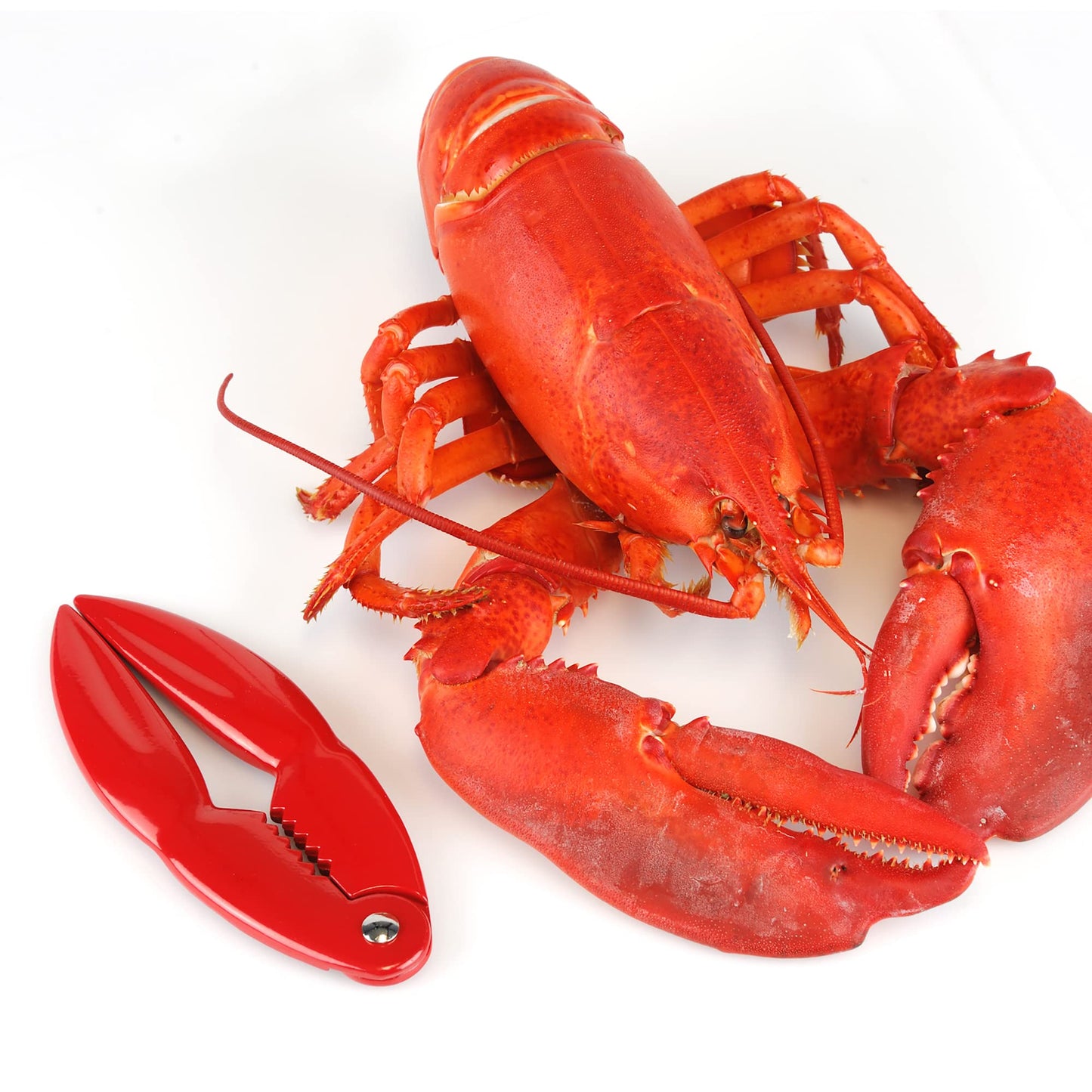 Lobster Cracker