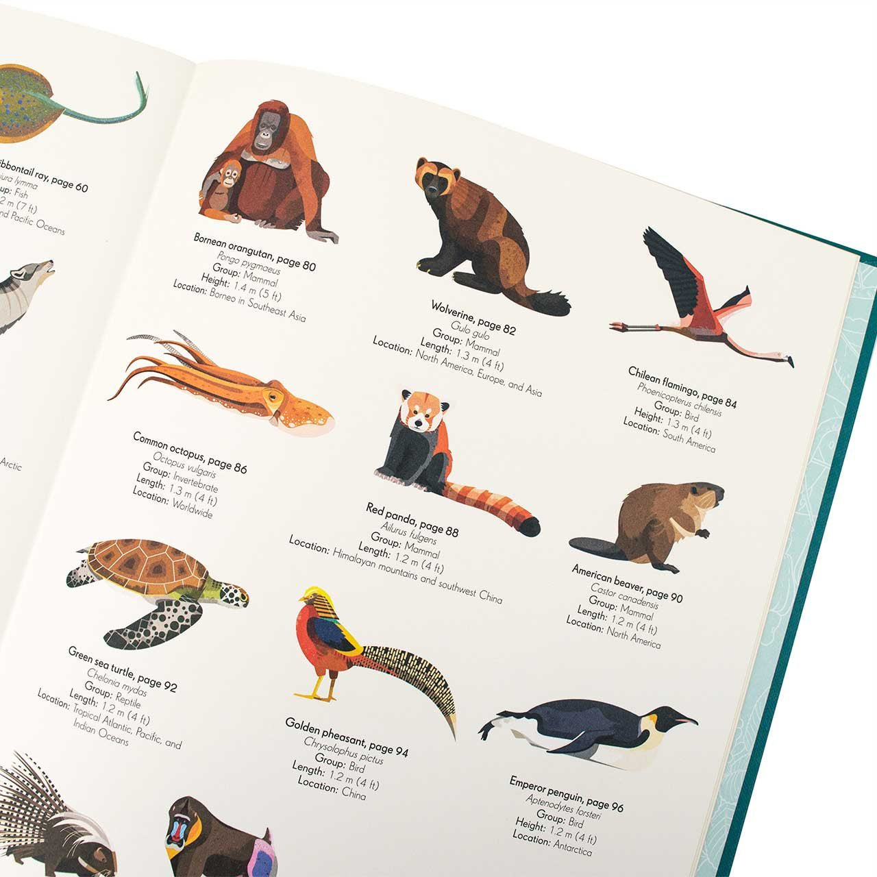 Anthology of Intriguing Animals