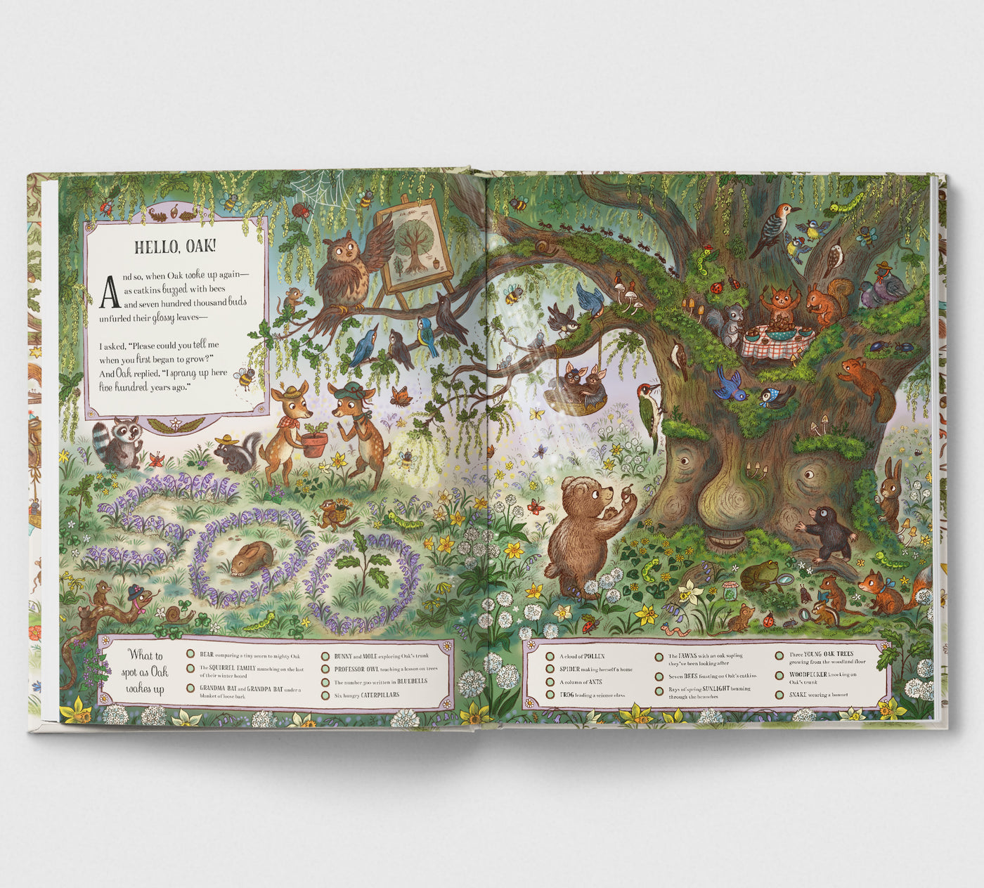 Grand Old Oak And The Birthday Ball