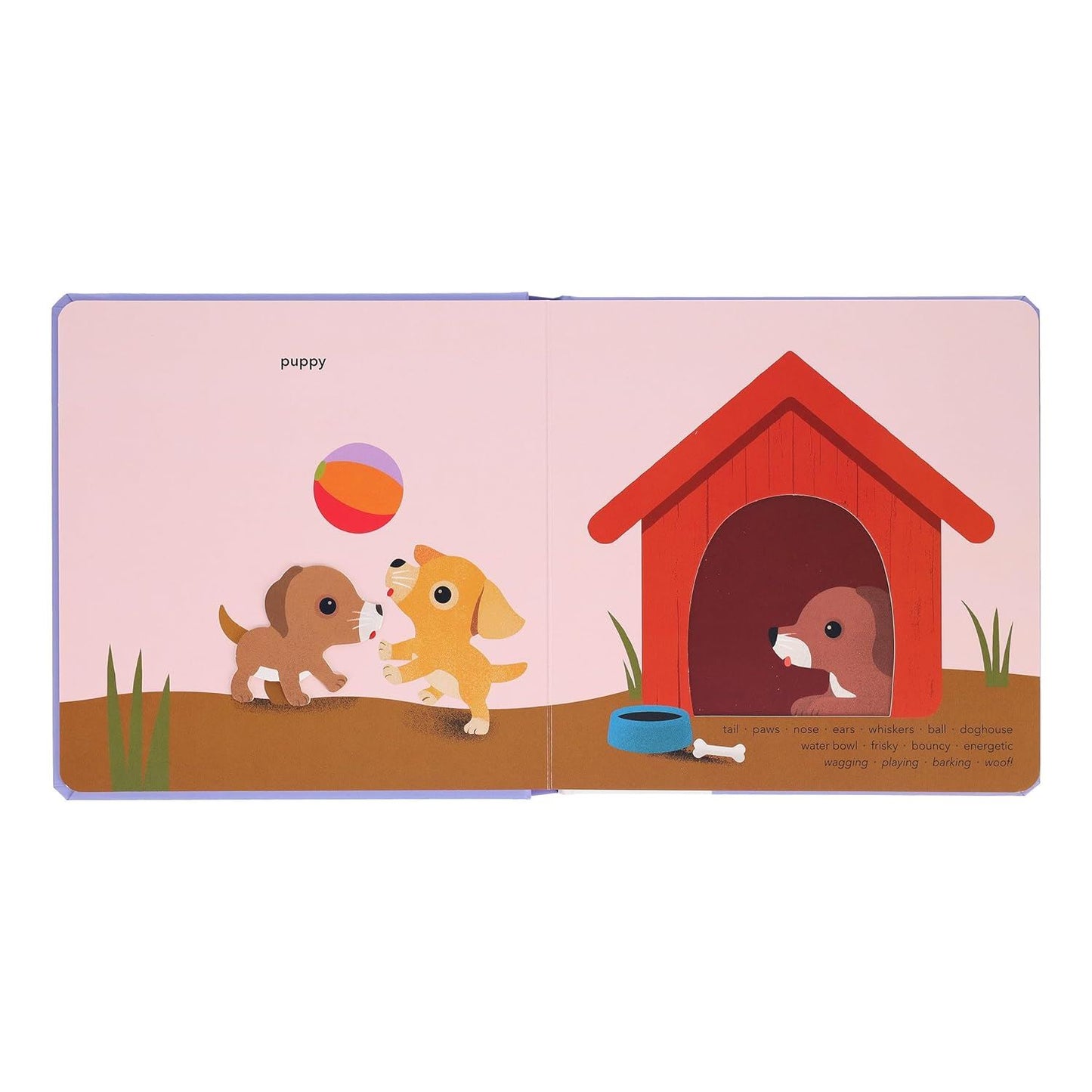 Pets ( Touch Think Learn )