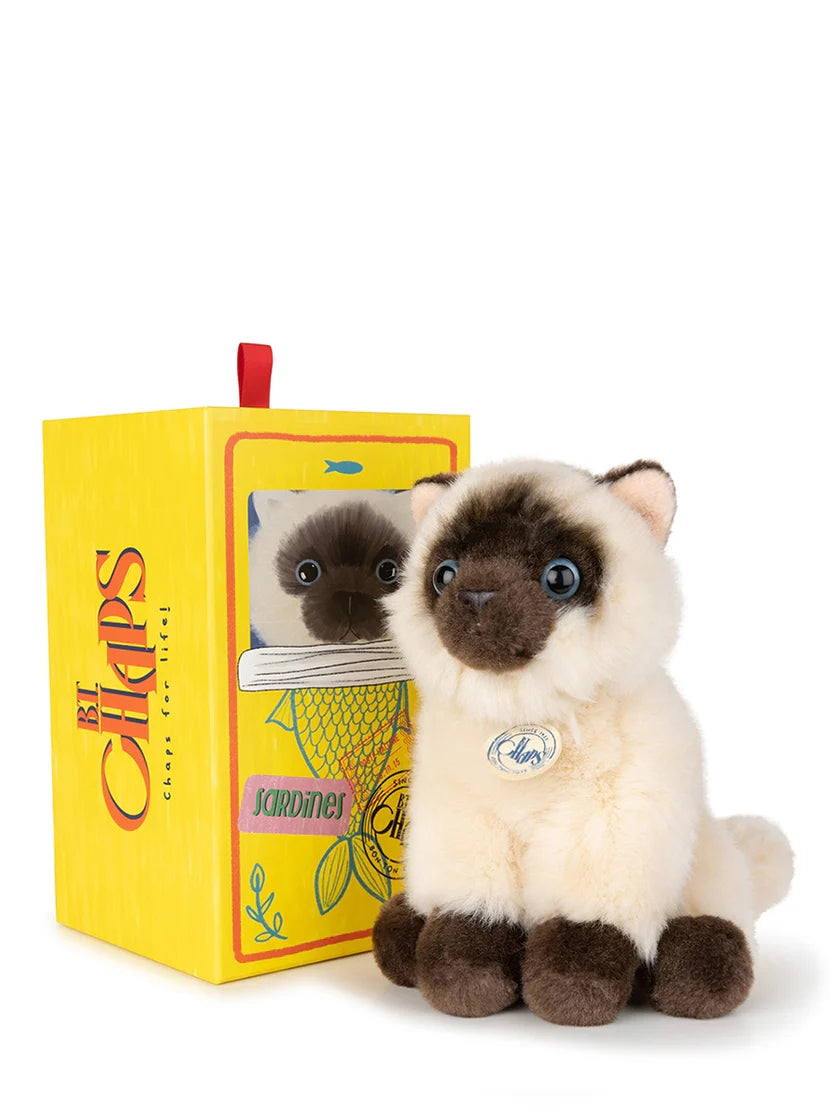 Eddie The Siamese