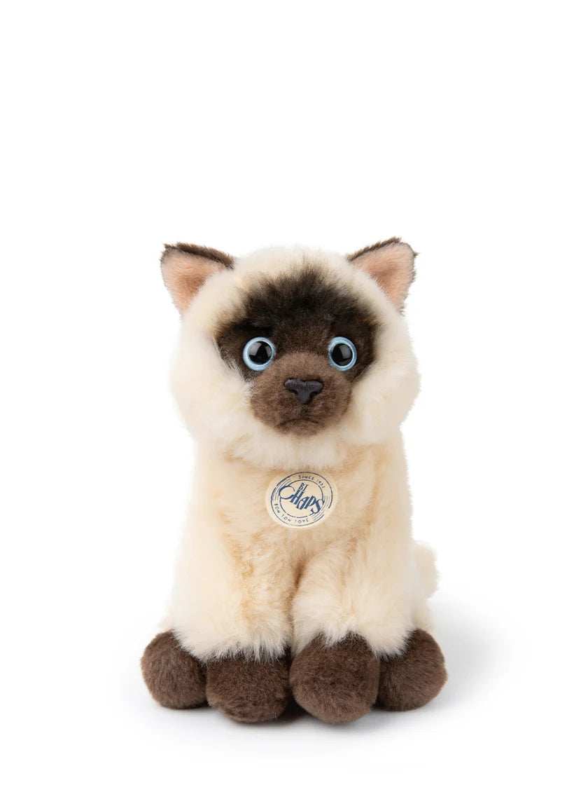 Eddie The Siamese