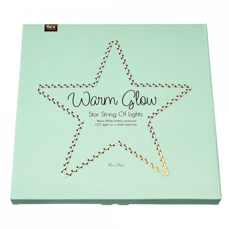 Warm Glow Large LED Star Light