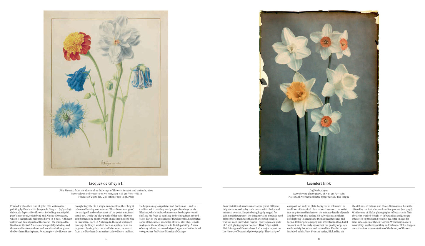 Flower: Exploring The World In Bloom