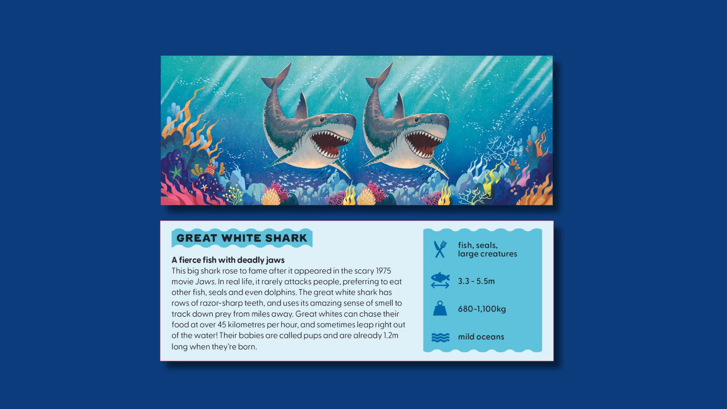 Dive Into The Ocean Immersive 3D Viewer