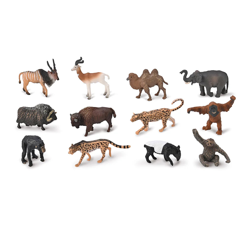 Box Of Mini Wild Animals