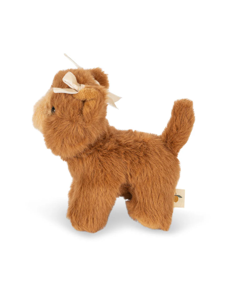 Baby Animal: Brown Cat