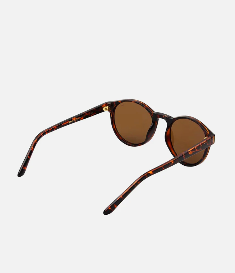 Marvin Sunglasses - Demi Tortoise
