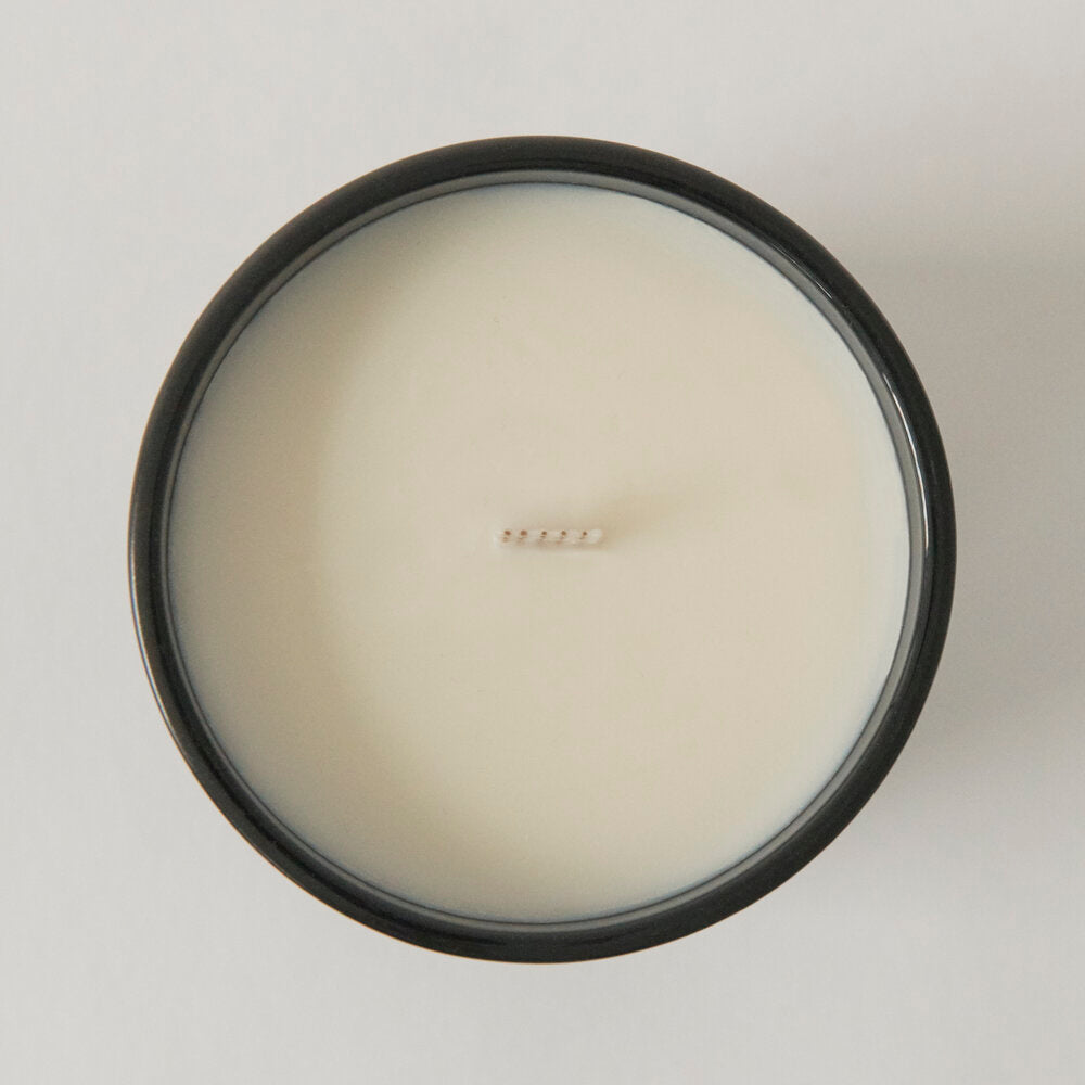 Wild Fig Large Candle