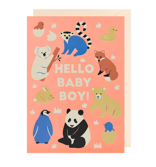 Hello Baby Boy! Greeting Card