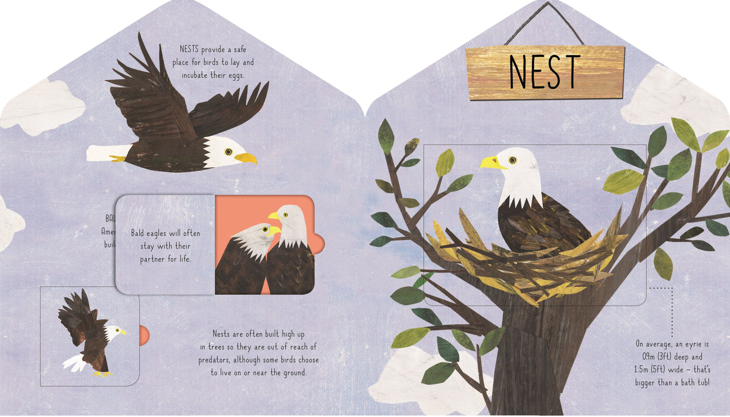 Animal Homes - Lift The Flap Book